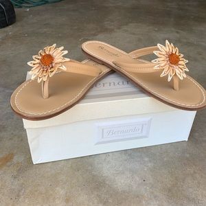 Bernardo Daisy leather thong sandal new with box